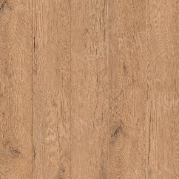 Brit 1022-5