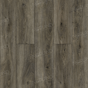 Logen 1022-22