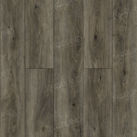 Logen 1022-22