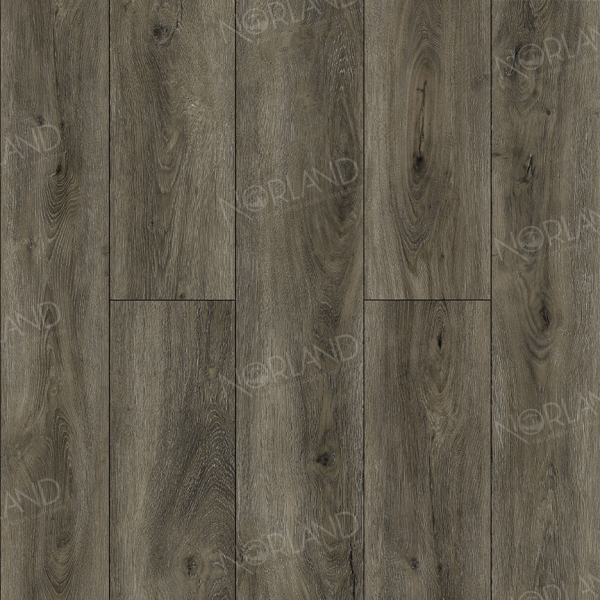 Logen 1022-22