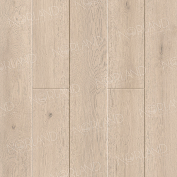 Alante 1006-7