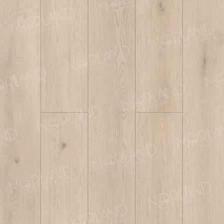 Alante 1006-7