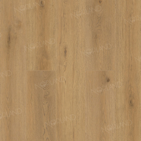 LVT плитка  Blake 1003-2