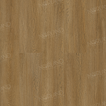 Lierne 1022-14