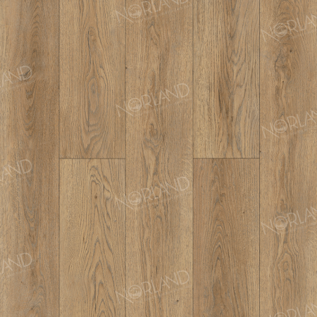 Gaula 1022-21