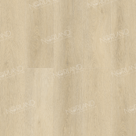 Signe 1022-9