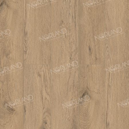 Alida 1022-6